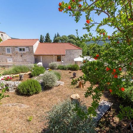 Apartament Olive Garden Stone Harbor Zewnętrze zdjęcie