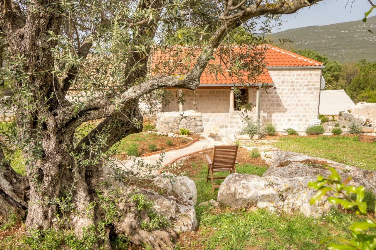 Apartament Olive Garden Stone Harbor Zewnętrze zdjęcie